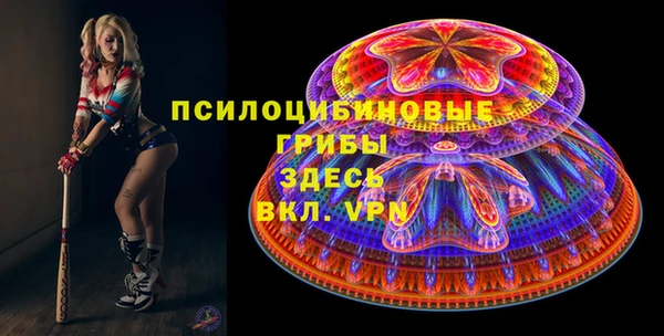 ГАЛЛЮЦИНОГЕННЫЕ ГРИБЫ Алексин