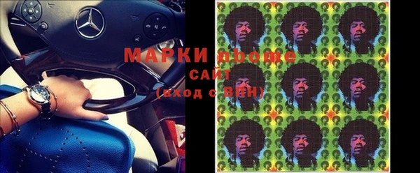 индика Железноводск
