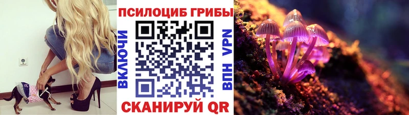 Галлюциногенные грибы Psilocybine cubensis  Злынка 